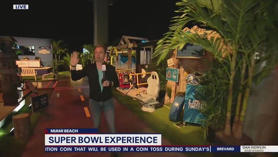 David Does It: Super Bowl Experience