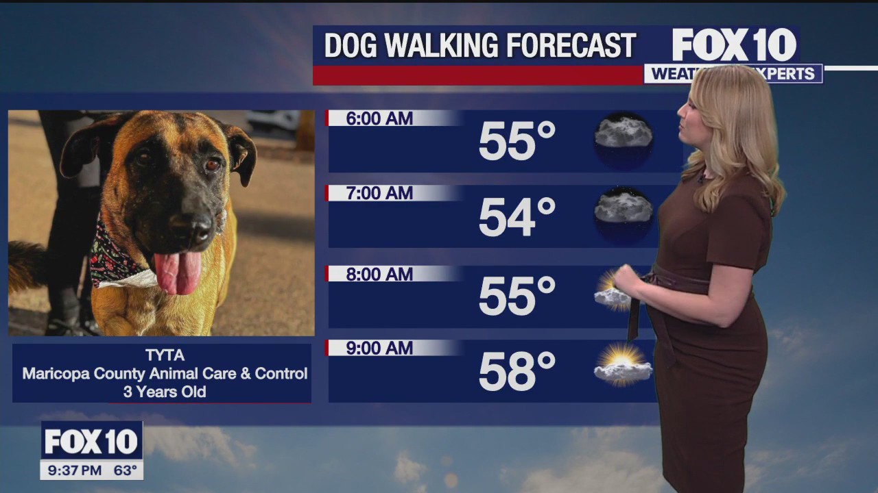 Evening Weather Forecast - 1/28/24