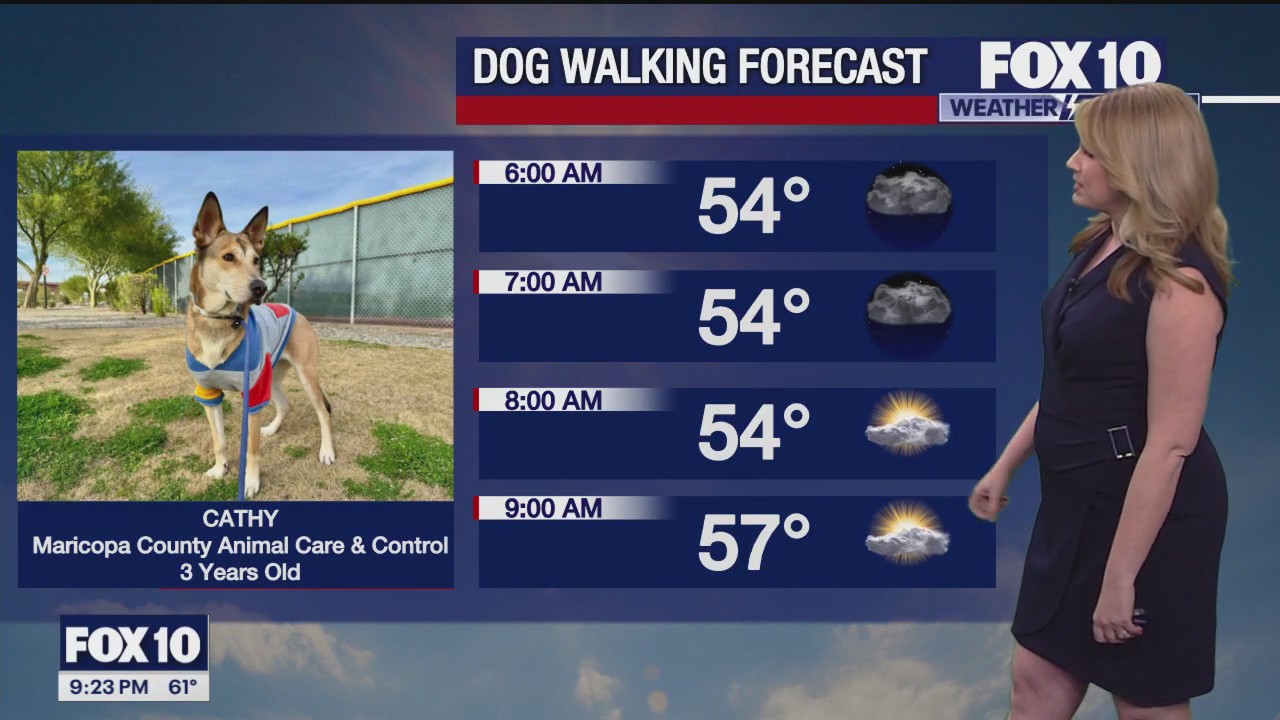 Weekend Weather Forecast