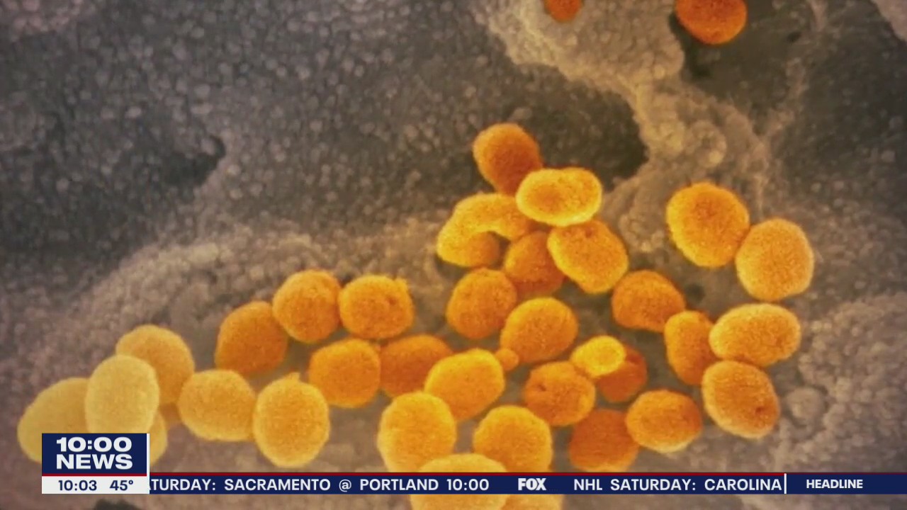 Temple students traveling to high impact coronavirus countries must self-quarantine before returning to campus