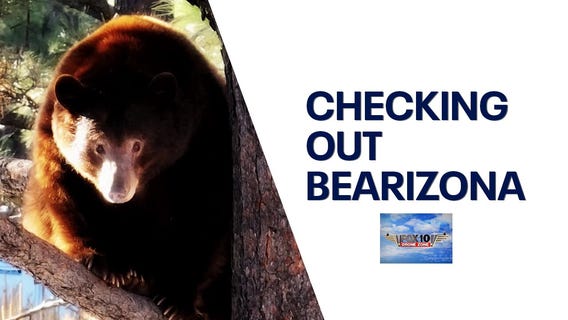 Bearizona | Drone Zone