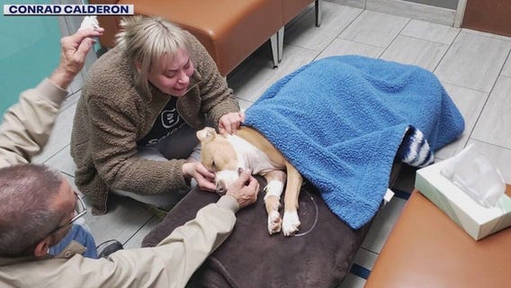 Shawnee Dog Park stabbing: Chandler dog, Tawny, killed