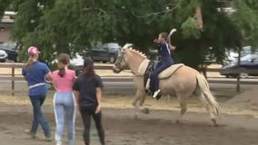 Hometown Spotlight: Hooves for Harmony