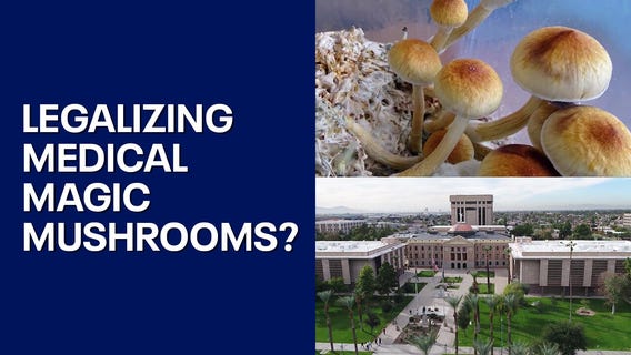 Magic mushrooms: AZ lawmakers consider bill