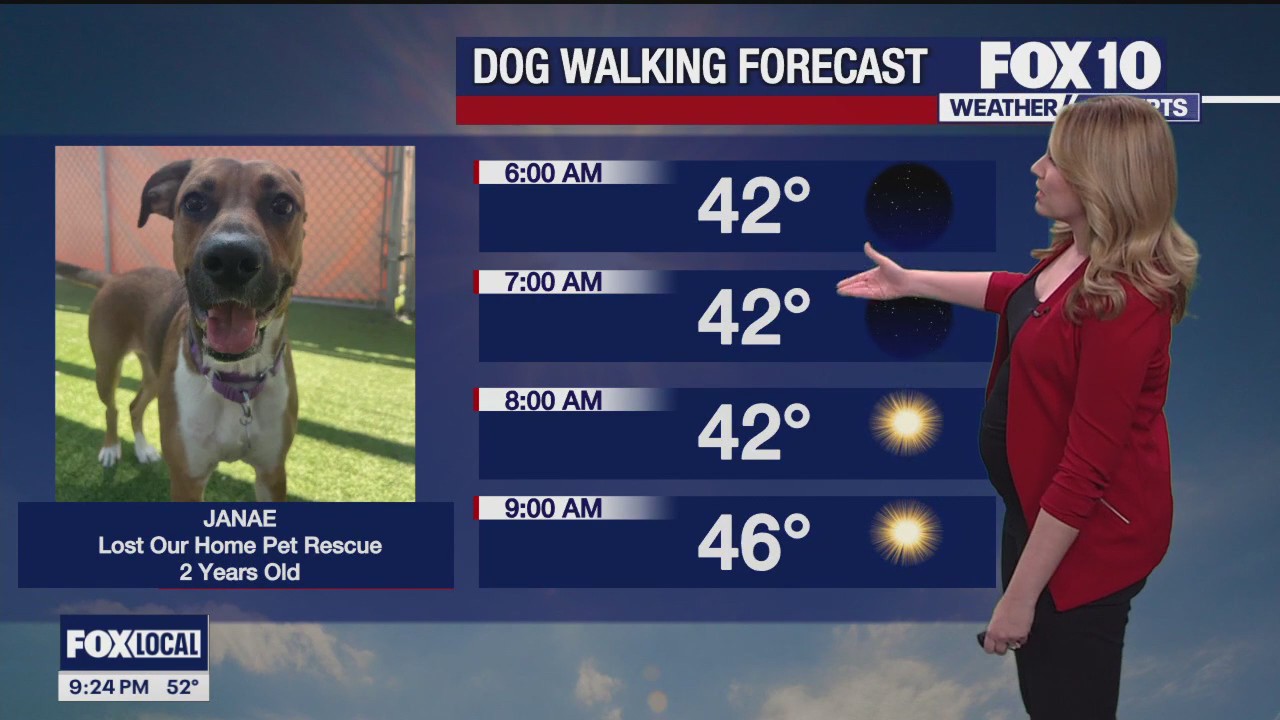 Weekend Weather Forecast