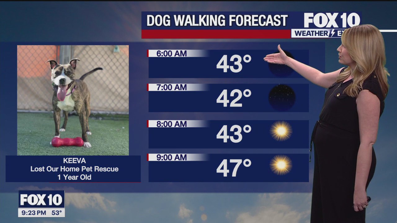 Evening Weather Forecast - 2/11/24