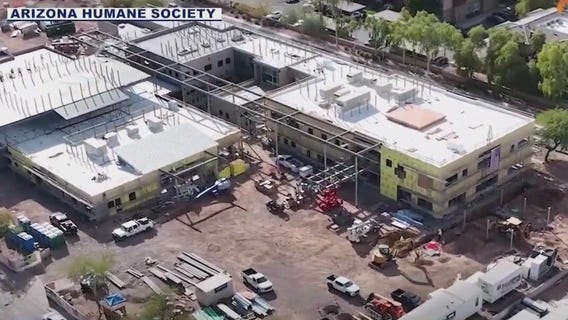 AHS pets waiting for homes get new shelter