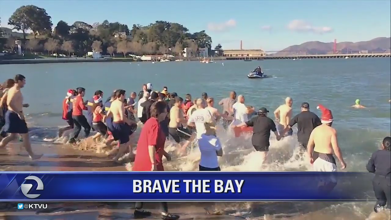 Brave the Bay