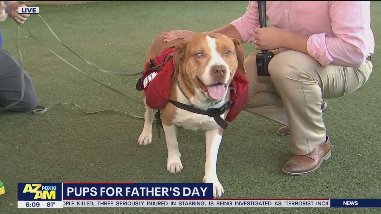 Pups for Father's Day