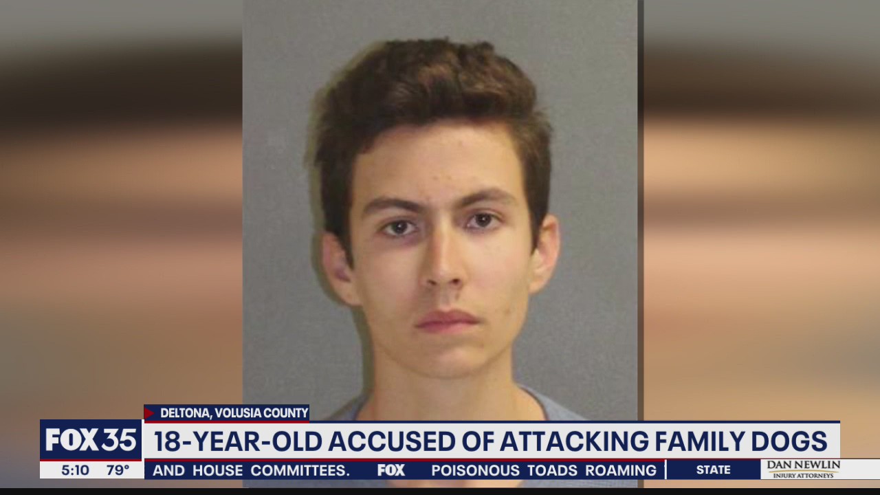 Teen accused of attacking family dogs