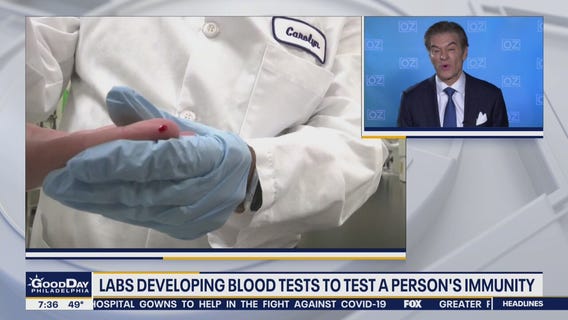 Labs develop blood tests to determine person's immunity during COVID-19