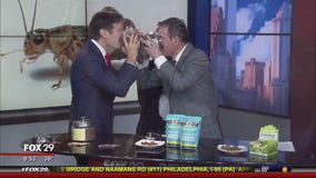 Mike Jerrick, Dr. Oz Eat Crickets on Good Day