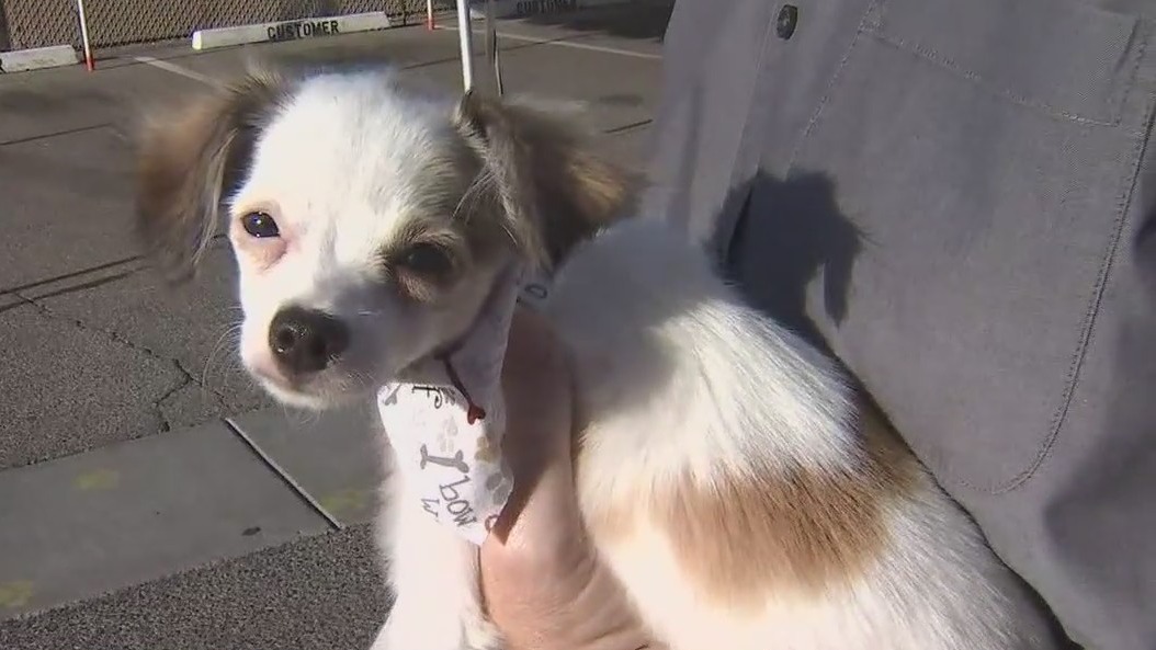 Arizona Humane Society receives new, donated air conditioner to keep our furry friends cool