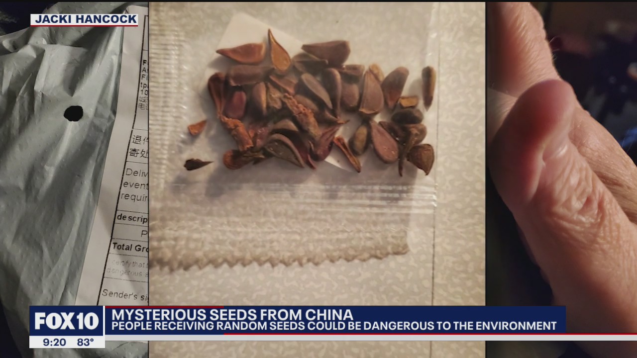 Some, including Arizona residents, receiving random seeds from China
