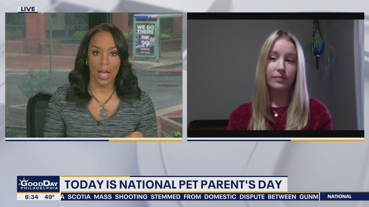 Experts: Dogs could suffer anxiety when owners return to work after pandemic