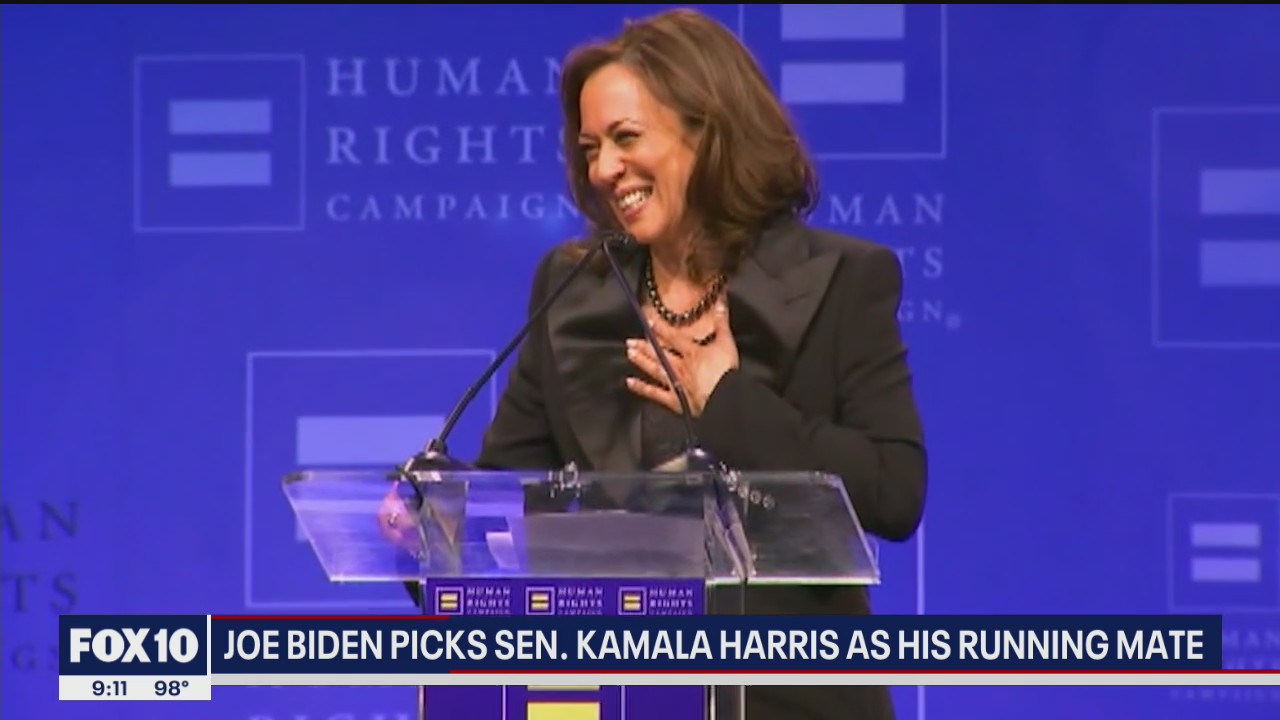 Biden picks Kamala Harris as his presidential running mate