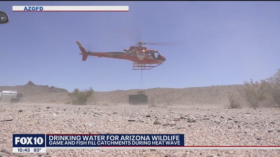 Arizona Game and Fish filling water catchments for wildlife as Arizona endures extreme heat