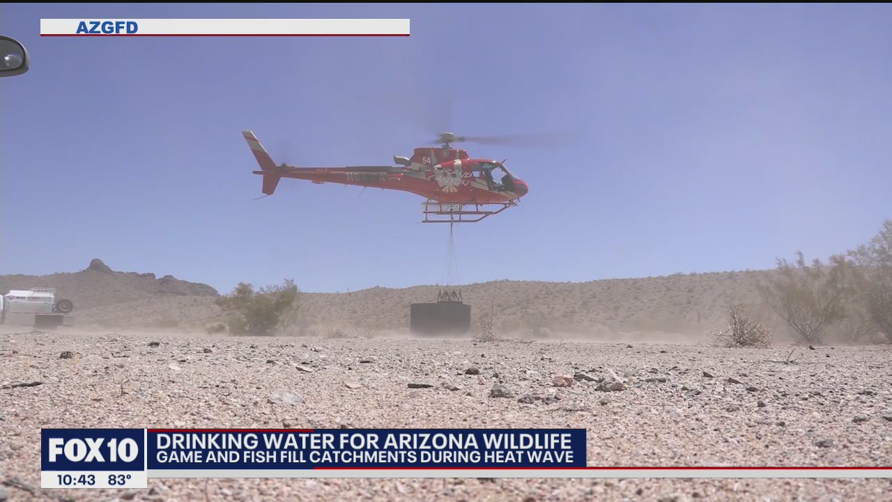 Arizona Game and Fish filling water catchments for wildlife as Arizona endures extreme heat