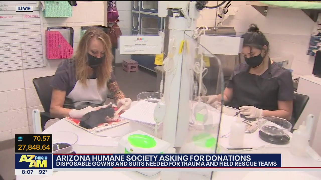 Arizona Humane Society asking for PPE gown donations