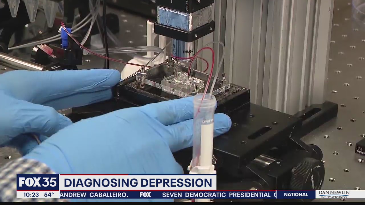 Blood test used to diagnose depression