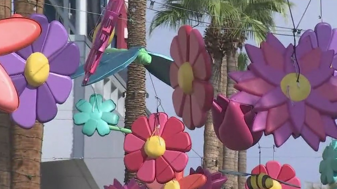 New art installations in two Valley shopping centers creating some 'buzz'