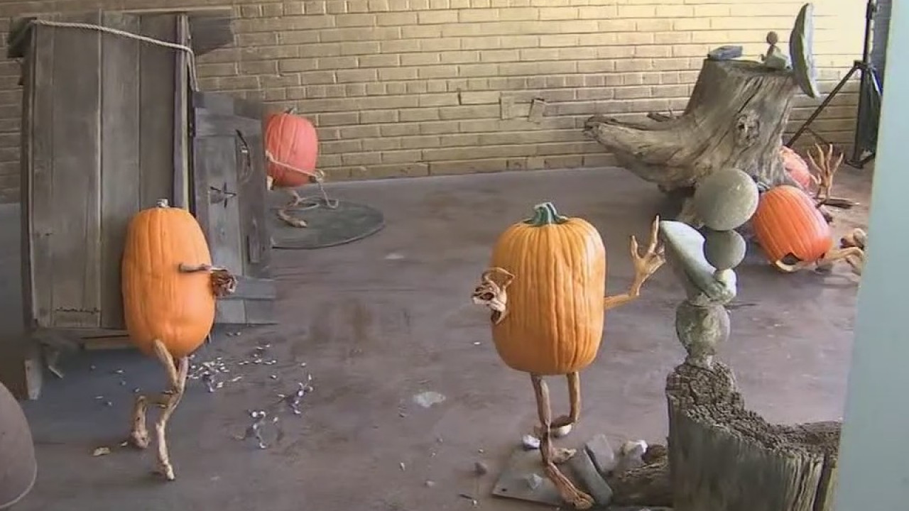 Mesa takes a unique spin on a pumpkin patch