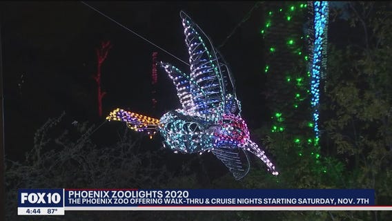 Olmost The Weekend: A different Zoo Lights to welcome visitors on Sunday