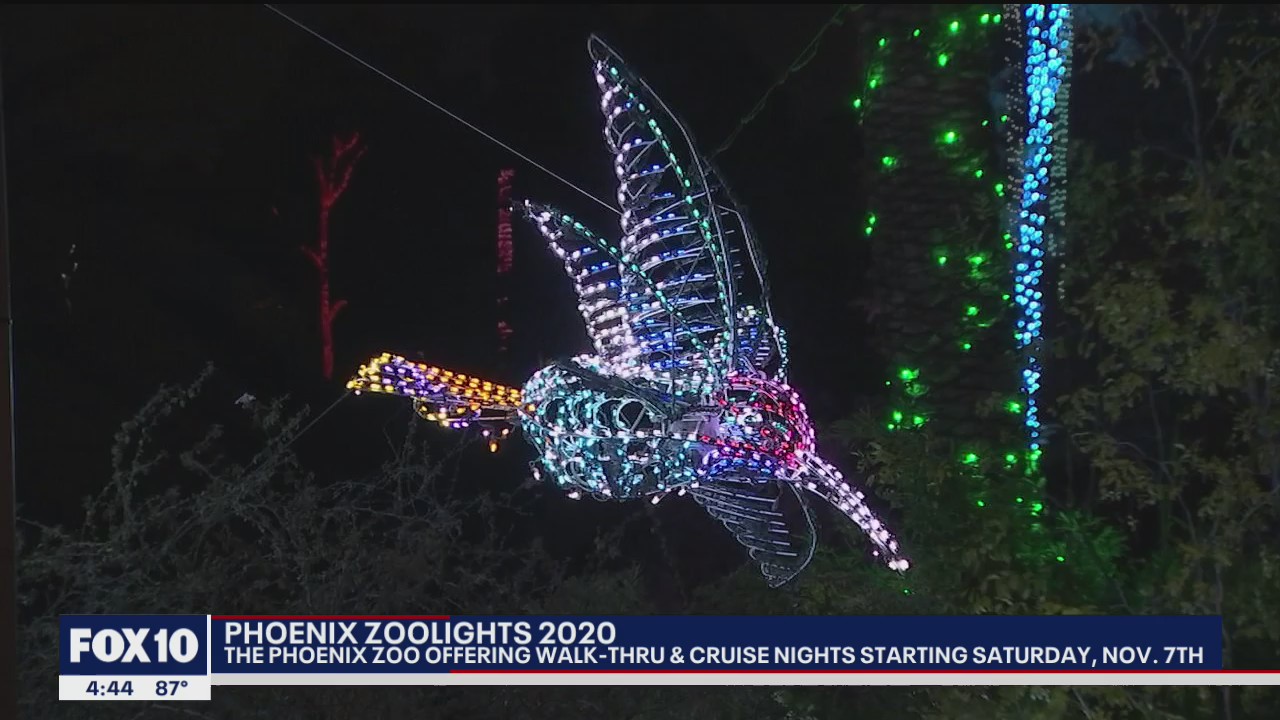 Olmost The Weekend: A different Zoo Lights to welcome visitors on Sunday