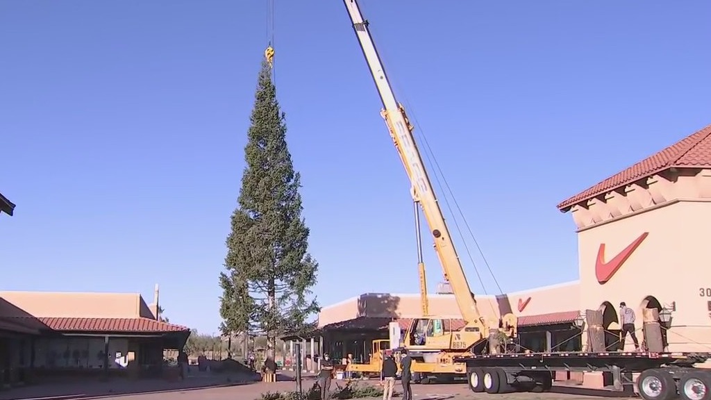 Arizona's tallest Christmas tree arrives at Anthem Outlets