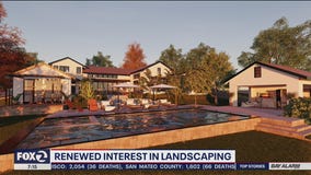 Mill Valley landscape architect firm sees increase in people wanting to work on outdoor living spaces