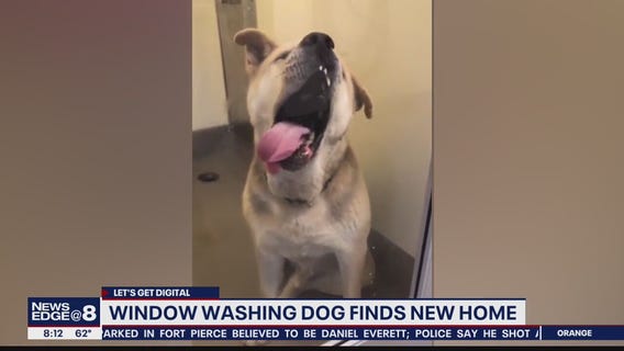 Let's Get Digital: Stories trending on February 14, 2020