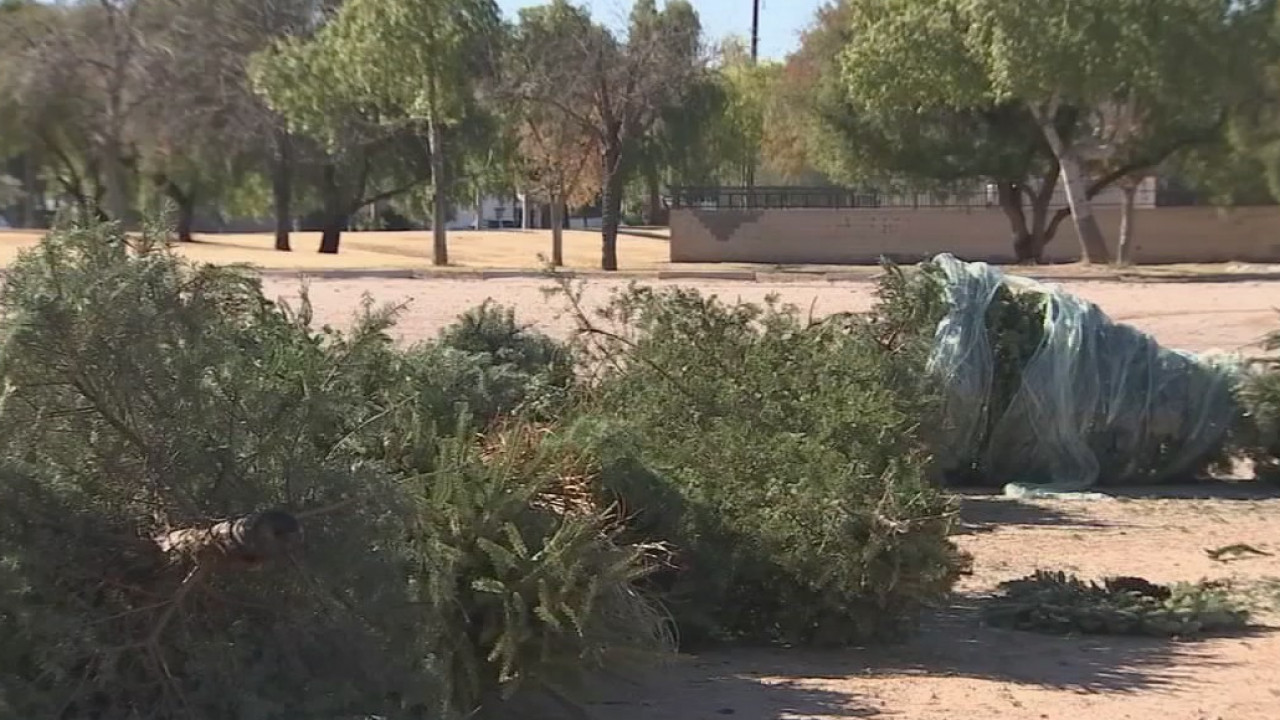Recycle your Christmas tree by turning it into compost in the Valley