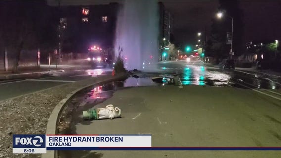 Hit-and-run driver sheers off Oakland fire hydrant