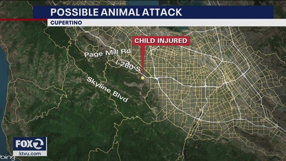 Cupertino park closed after apparent mountain lion encounter