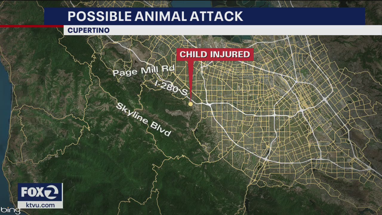 Cupertino park closed after apparent mountain lion encounter