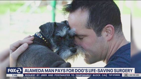 Alameda man pays for dog's life-saving surgery