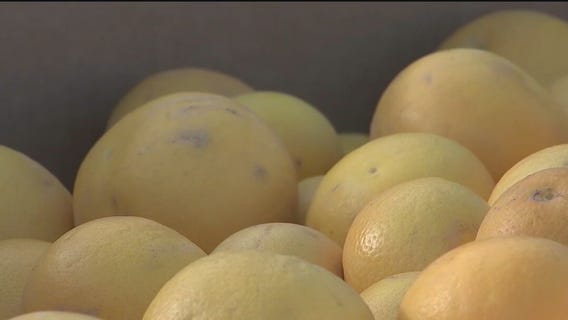 St. Mary's Food Bank will take your extra citrus fruits