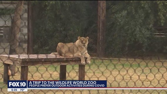 Looking for something fun and safe to do? Many are visiting the Wildlife World Zoo