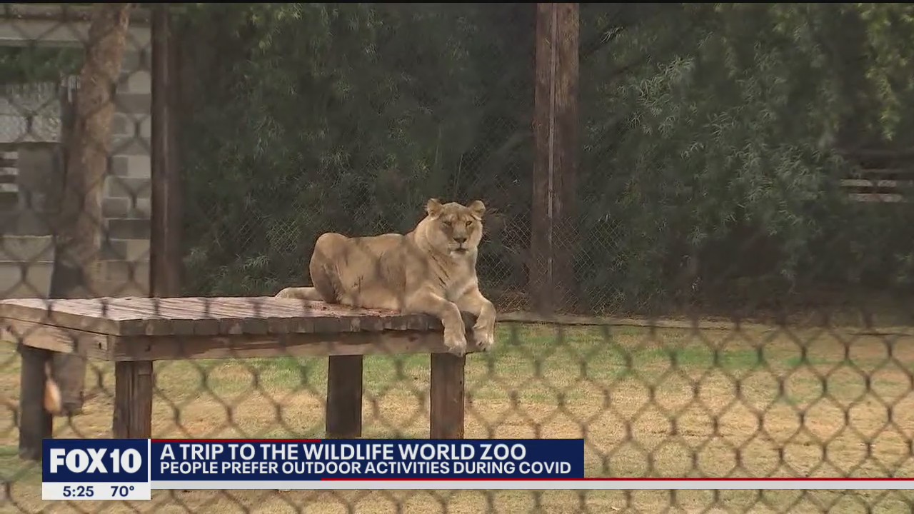 Looking for something fun and safe to do? Many are visiting the Wildlife World Zoo