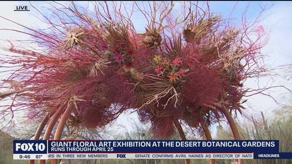 'Wind, Water, Earth:' New art exhibition opens at Desert Botanical Garden