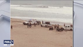26-year-old man killed by shark off Santa Cruz coast