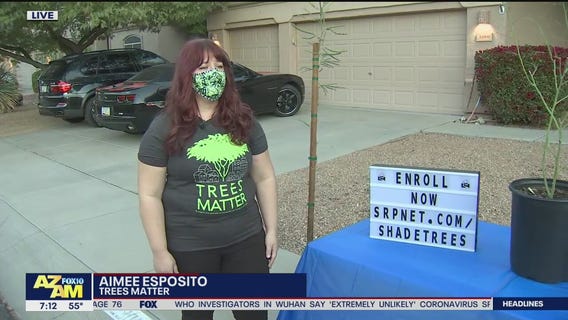 SRP offering free shade trees to customers who attend virtual workshop