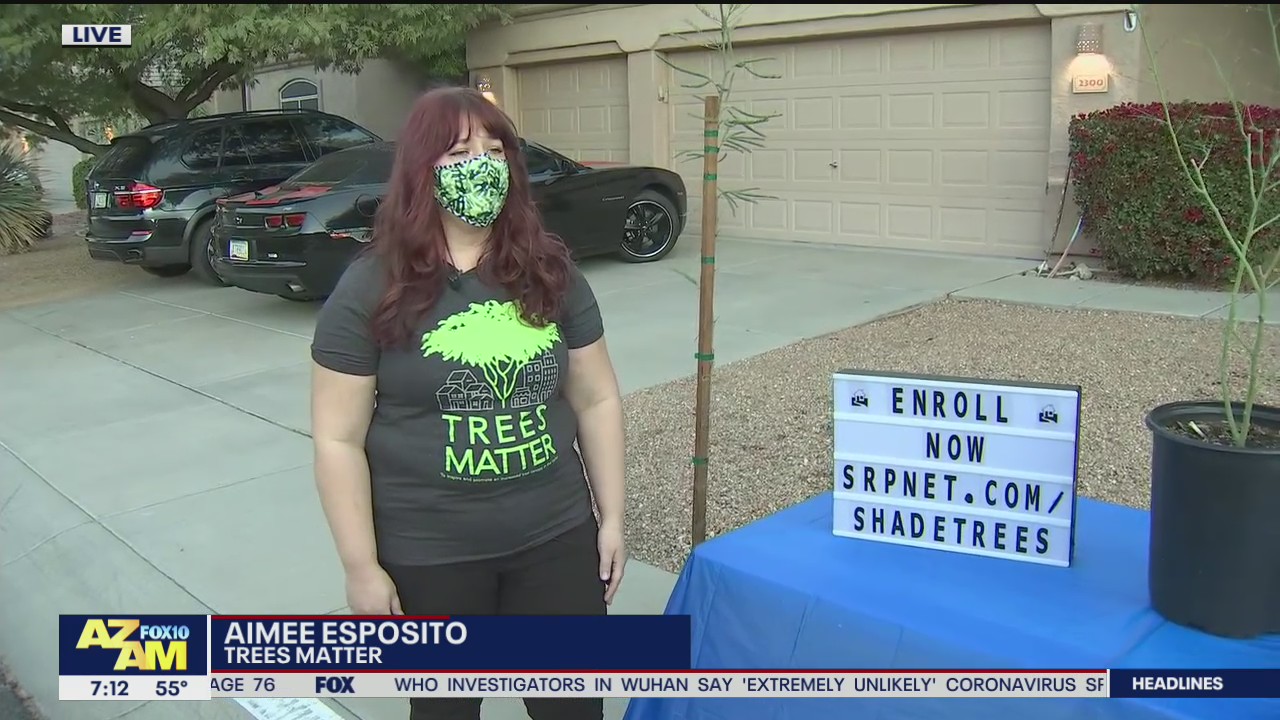 SRP offering free shade trees to customers who attend virtual workshop