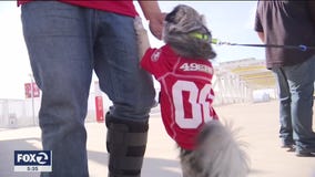 Bay Area businesses gearing up for Super Bowl Sunday