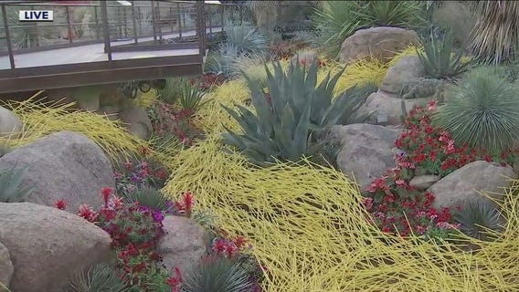 Water-inspired exhibit opens at Desert Botanical Garden