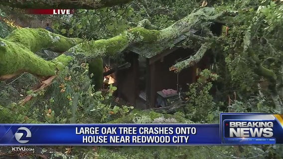 Large Oak tree falls on home, power lines in Emerald Hills