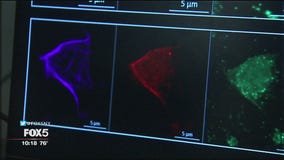 The Big Idea: Liquid biopsy