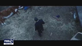 Rep. Jackie Speier among those in attendance at Redwood City screening of "Dark Water"