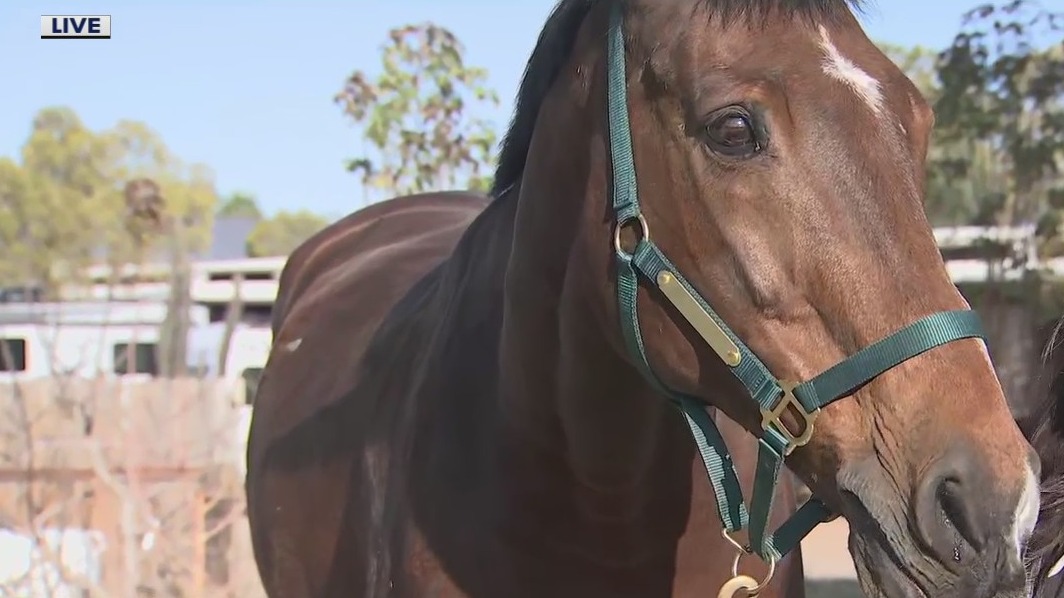 Yoga at Hunkapi Farms in Scottsdale