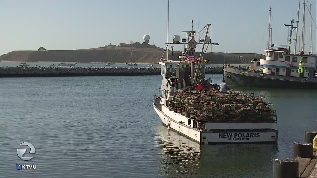 Crab fishermen holding off on fishing due to concerns about whale encounters
